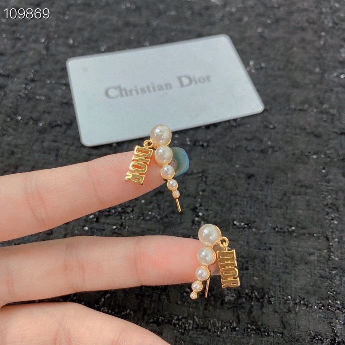 Christian Dior Earrings